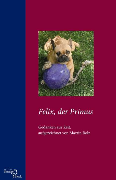 Martin Bolz: Felix, der Primus, Buch
