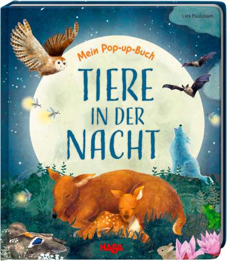 Becky Davies: Mein Pop-up-Buch - Tiere in der Nacht, Buch