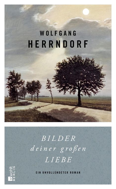Wolfgang Herrndorf (1965-2013): Bilder deiner großen Liebe, Buch