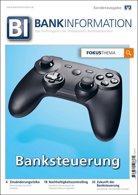 BankInformation, Fokus-Thema: Banksteuerung, Buch