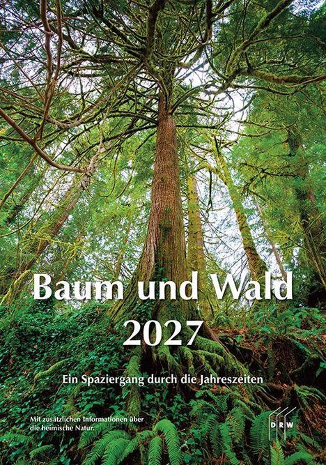 „Baum und Wald 2027: Ein Spaziergang durch die Jahreszeiten.“ Ein majestätischer Baum im Wald, umgeben von dichtem Grün.