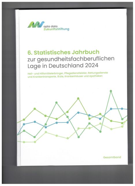 6. Statistisches Jahrbuch zur gesundheitsfachberuflichen Lage in Deutschland 2024, Buch