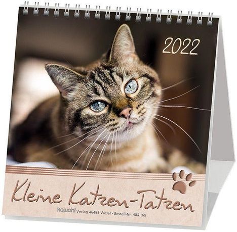 Kleine Katzen-Tatzen 2021. Postkarten-Kalender, Kalender