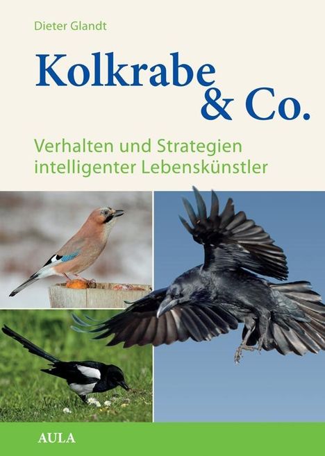 Dieter Glandt: Kolkrabe &amp; Co., Buch