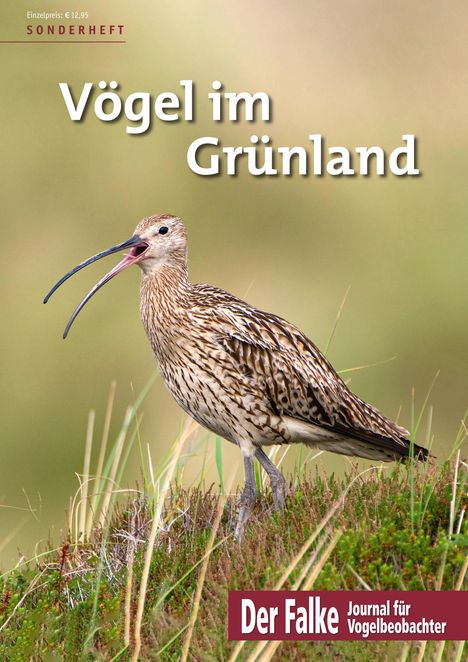 Vögel im Grünland, Buch