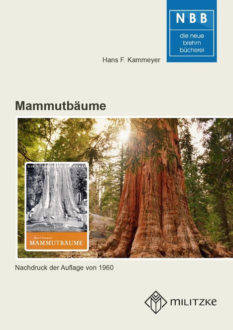 Hans F. Kammeyer: Mammutbäume, Buch