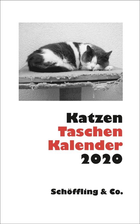 Katzen Taschenkalender 2020, Diverse