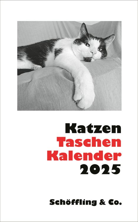 Julia Bachstein: Katzen Taschenkalender 2025, Kalender