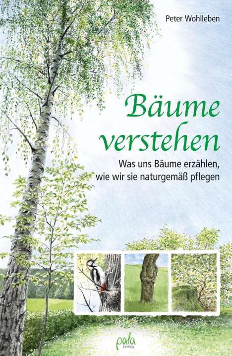 Peter Wohlleben: Bäume verstehen, Buch
