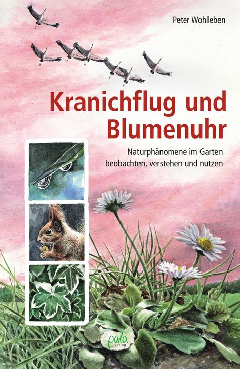 Peter Wohlleben: Kranichflug und Blumenuhr, Buch
