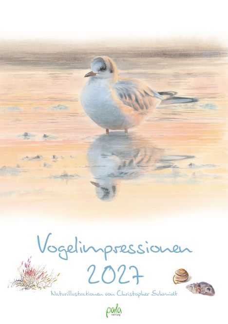 "Vogelimpressionen 2024. Naturillustrationen von Christopher Schmidt." Eine Möwe auf ruhigem Wasser, zart koloriert.
