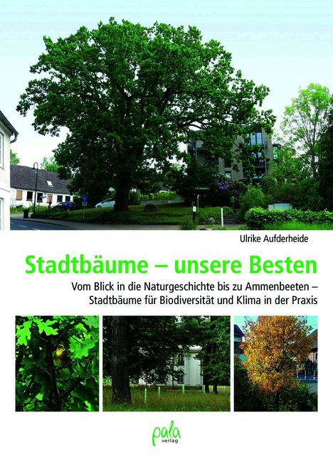 "Stadtbäume – unsere Besten" in Grün. Straßenansicht mit großen Bäumen, Häusern und Autos.