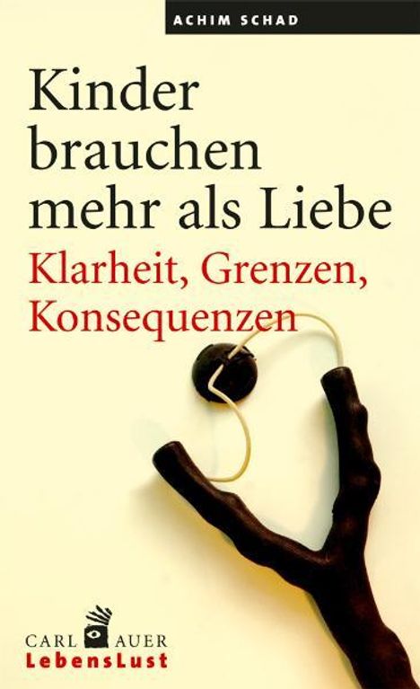 Achim Schad: Kinder brauchen mehr als Liebe, Buch