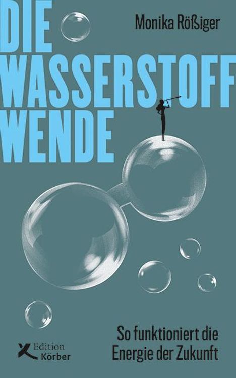 Monika Rößiger: Die Wasserstoff-Wende, Buch