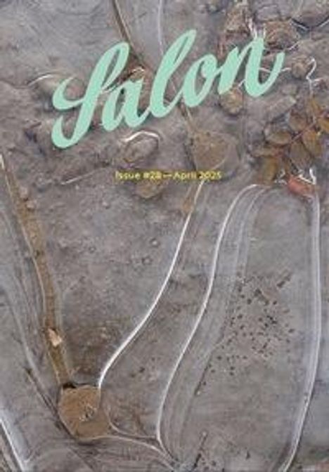 Salon, Buch
