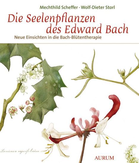 Mechthild Scheffer: Scheffer, M: Seelenpflanzen des Edward Bach, Buch