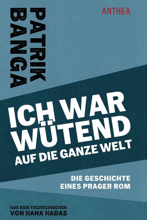 Patrik Banga: Ich war wütend auf die ganze Welt, Buch