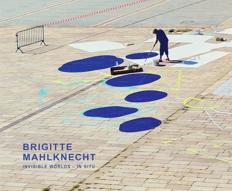 Invisible Worlds - in situ, Buch