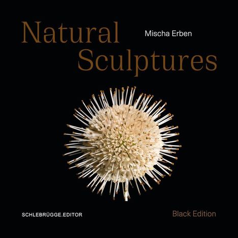„Natural Sculptures“, Mischa Erben, „Black Edition“, SCHLEBRÜGGE.EDITOR. Runde, blumenähnliche Struktur auf schwarzem Hintergrund.
