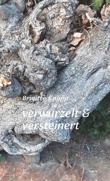 Brigitte Knapp: verwurzelt &amp; versteinert, Buch