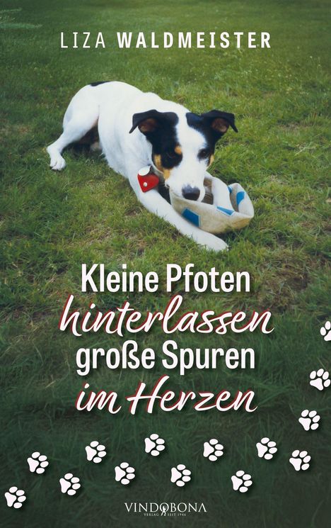 Liza Waldmeister: Kleine Pfoten hinterlassen große Spuren im Herzen, Buch
