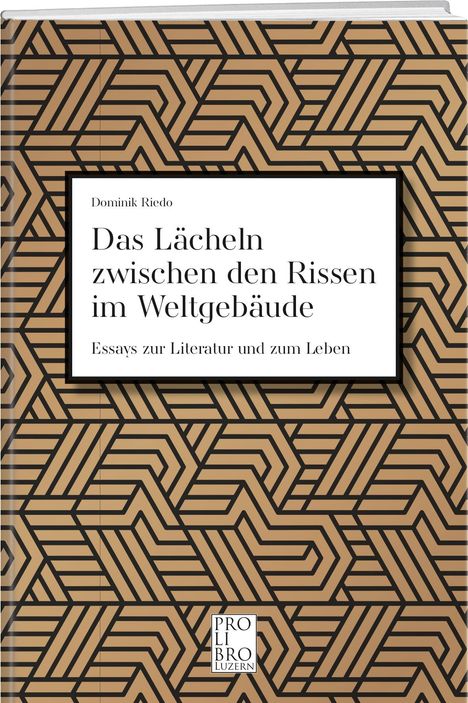 Dominik Riedo: Riedo, D: Lächeln zwischen den Rissen im Weltgebäude, Buch