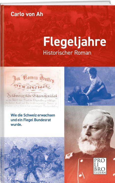 Carlo von Ah: Flegeljahre, Buch