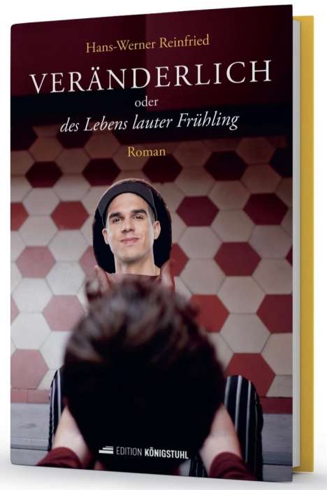 Hans-Werner Reinfried: Veränderlich, Buch