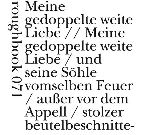 "Meine gedoppelte weite Liebe // Meine gedoppelte weite Liebe / und seine Söhne vomselben Feuer / außer vor dem Appell / stolzer beutelbeschnitte-". Linksseitig gedreht steht "roughbook 071".