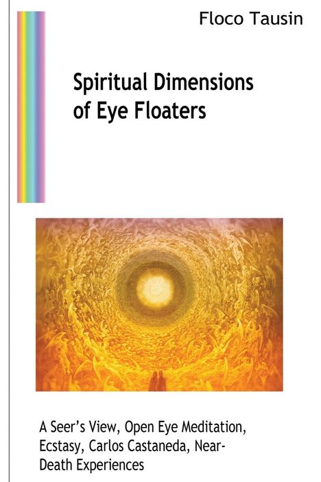 Floco Tausin: Spiritual Dimensions of Eye Floaters, Buch