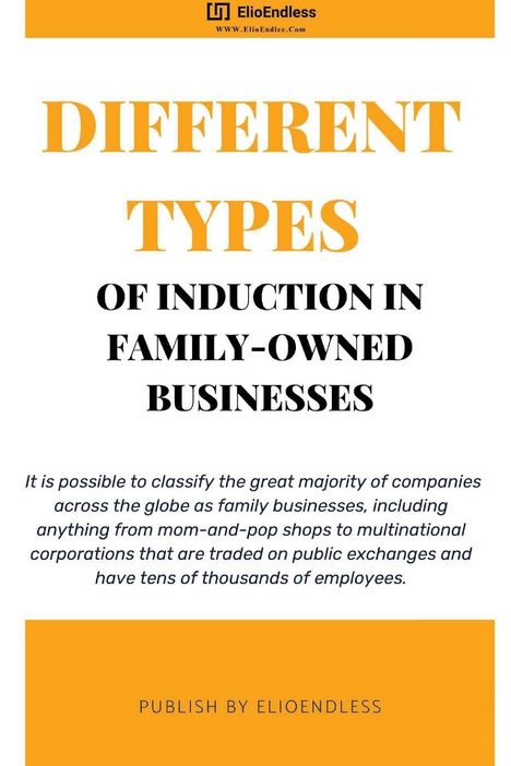 Elio Endless: Different Types of Induction in Family-Owned Businesses, Buch