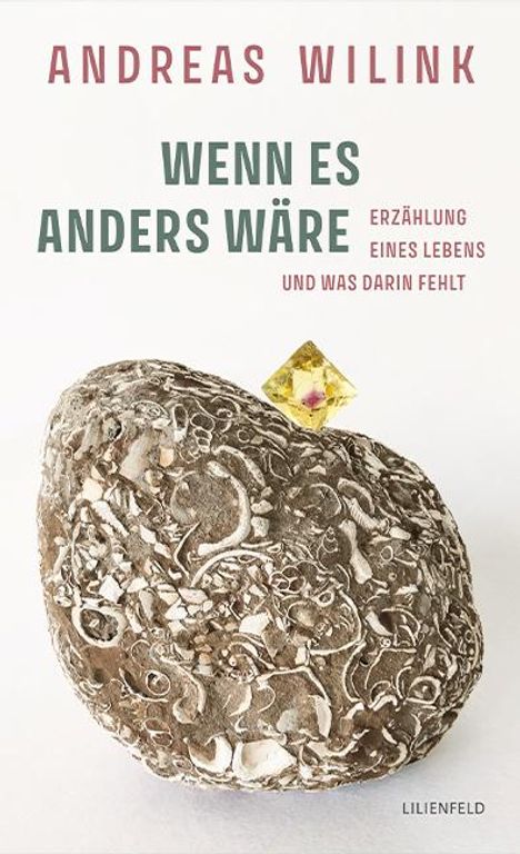 Andreas Wilink: Wenn Es Anders Wäre, Buch