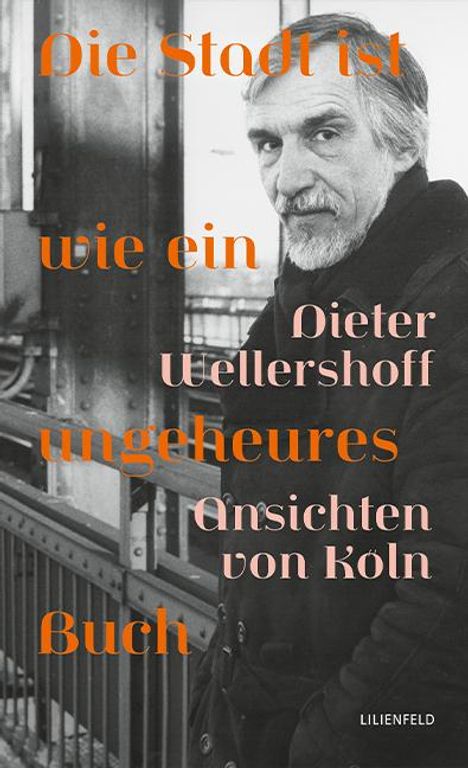 Dieter Wellershoff: Die Stadt ist wie ein ungeheures Buch, Buch