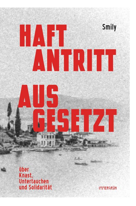 Smily: Haftantritt ausgesetzt, Buch