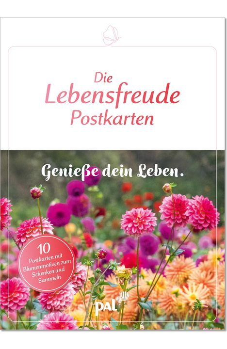 Cover/Produkt Ansicht vergrößern