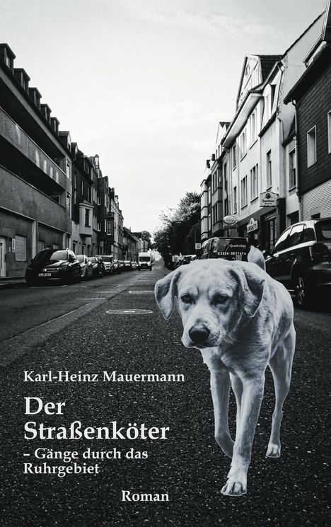 „Karl-Heinz Mauermann, Der Straßenköter – Gänge durch das Ruhrgebiet, Roman“. Ein Hund läuft auf einer Stadtstraße.