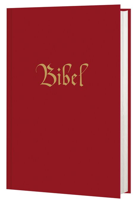 Die Bibel, Buch
