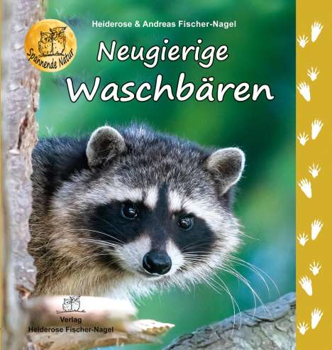 Heiderose Fischer-Nagel: Neugierige Waschbären, Buch