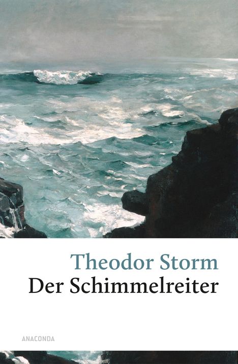 Theodor Storm: Der Schimmelreiter, Buch