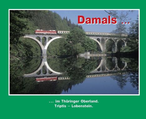 Damals 4, Buch