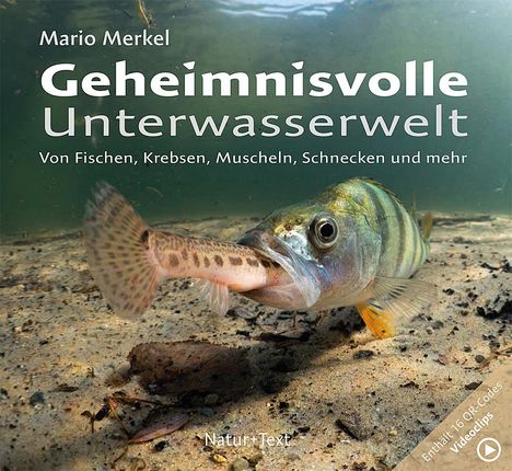 Mario Merkel: Geheimnisvolle Unterwasserwelt, Buch