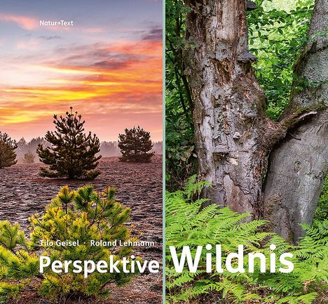 Roland Lehmann: Perspektive Wildnis, Buch