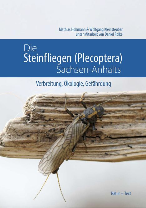 Buchtitel: "Die Steinfliegen (Plecoptera) Sachsen-Anhalts". Nahaufnahme eines Insekts auf Holz.