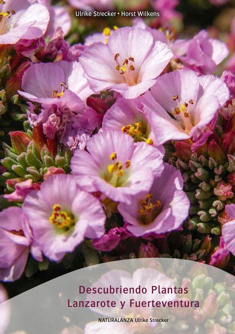 Ulrike Strecker: Descubriendo Plantas Lanzarote y Fuerteventura, Buch