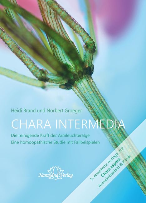 Heidi Brand: Chara intermedia, Buch