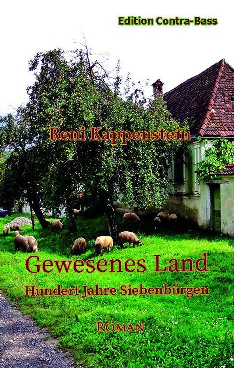 Reni Kappenstein: Gewesenes Land, Buch
