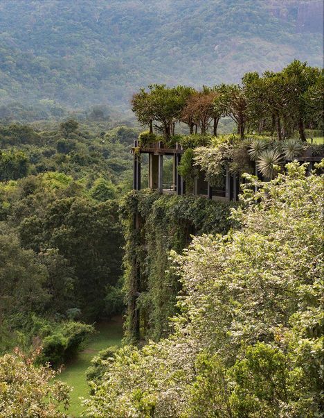 Ich kann keine Texte oder Hinweise darauf erkennen. Zu sehen ist ein Gebäude vollständig überwachsen von Bäumen und Pflanzen, eingebettet in eine dichte Waldlandschaft.