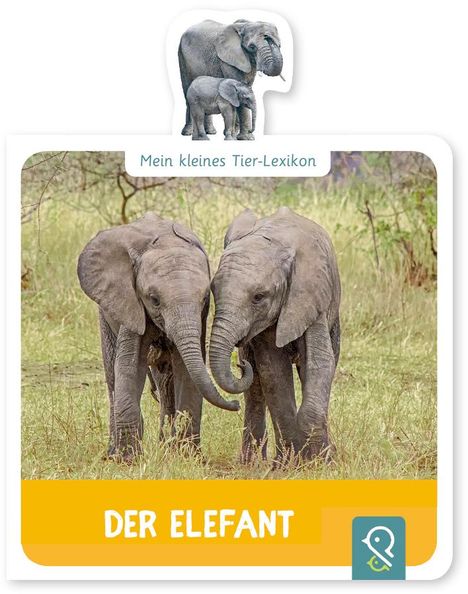 Hannah Kastenhuber: Mein kleines Tier-Lexikon - Der Elefant, Buch