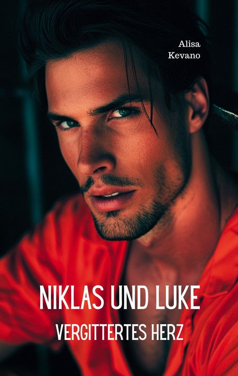 Alisa Kevano: Niklas und Luke, Buch