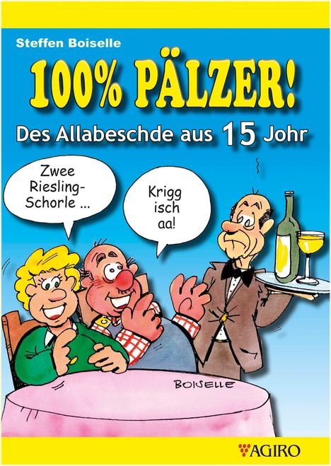 Steffen Boiselle: 100% PÄLZER! Des Allabeschde aus 15 Johr, Buch